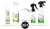 lemongrass-rebranding (1).webp