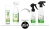 lemongrass-rebranding (1).webp