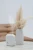 2818.webp