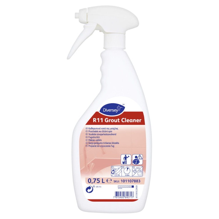 101107883-DI R11 Grout Cleaner 0.75L-AI137810-RGB-20x20cm.jpg