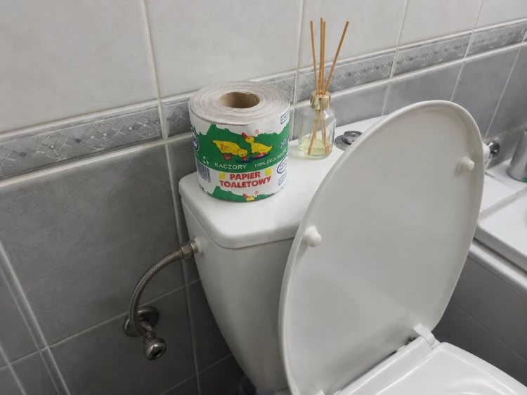 papier na toalecie.png