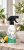 KALA_Citrus_Flower_3_aranzacja.png